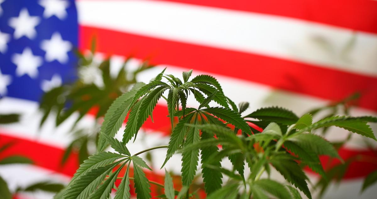 Veterans and Medical Marijuana