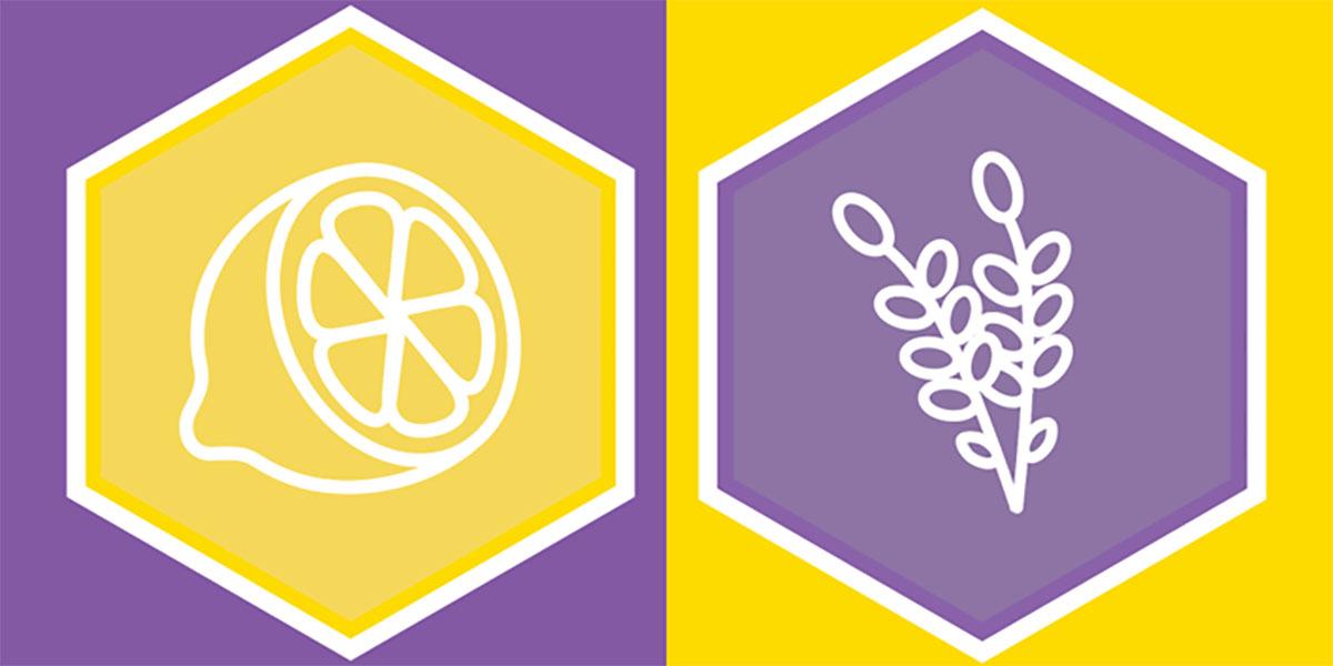 The  Power of Terpenes