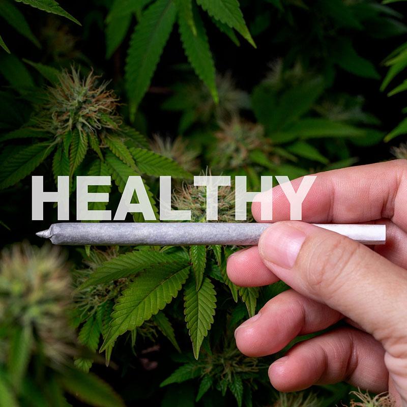 The Future of Cannabis Slang