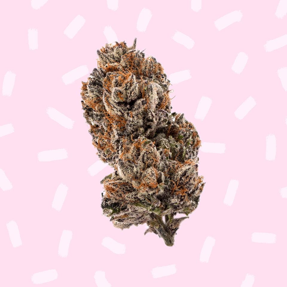 Sweet Supply Cannabis Punch Cookies