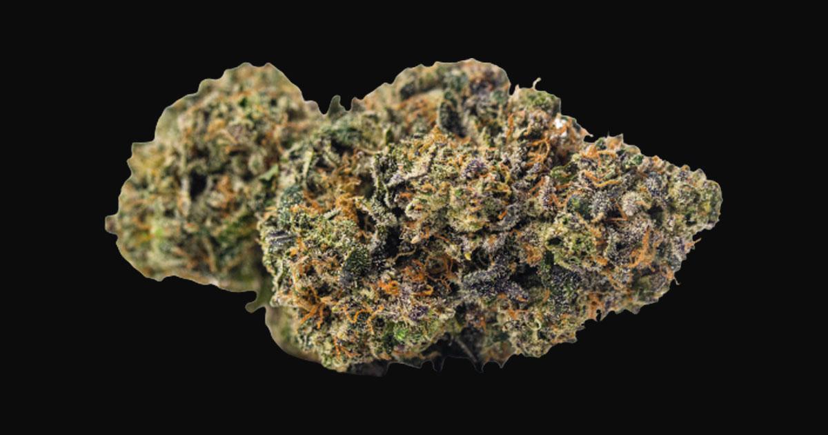 Watermelon Burst Strain Details 