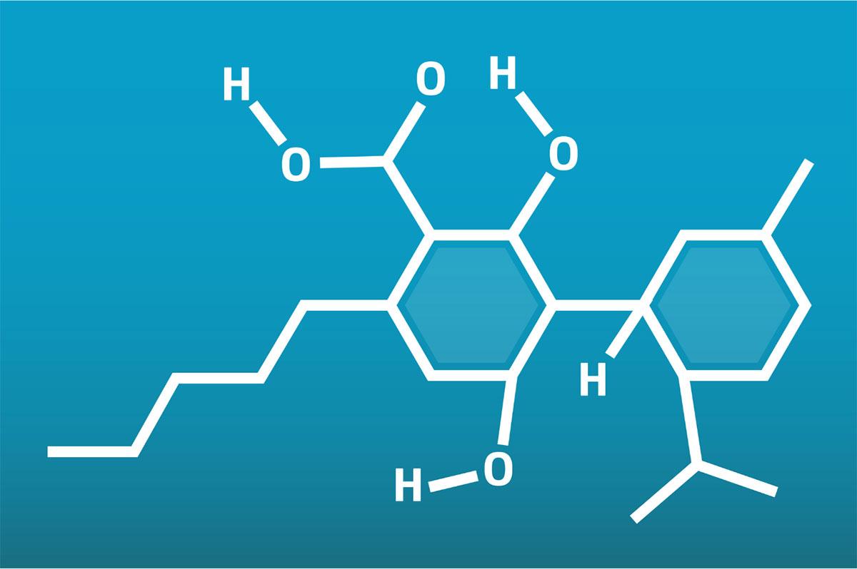 Potential Therapeutic Benefits of CBDA
