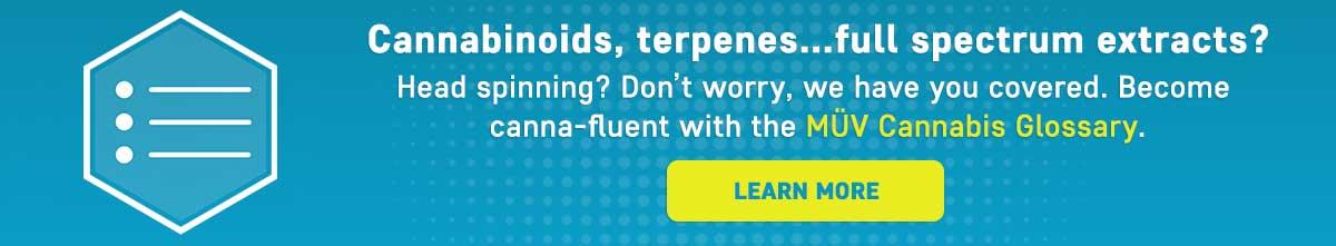 Cannabinoids, terpenes, full spectrum extracts? Head spinning? don't worry we have you covered. Become canna-fluent with the MUV Cannabis Glossary. Click Here to learn more