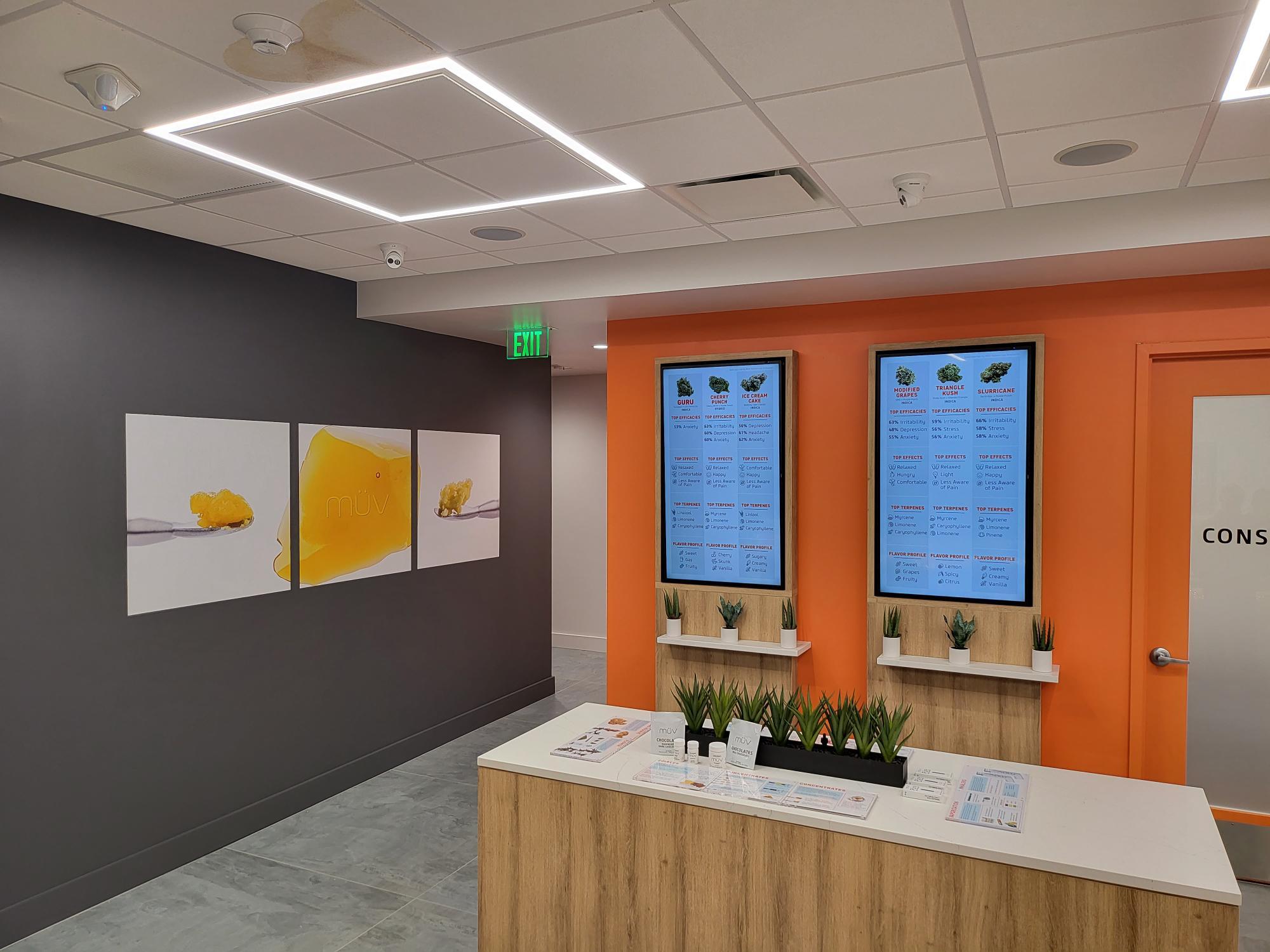 Shop French Toast Strain at MUV